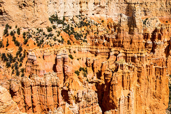 Bryce CYN Land of the Hoodoos