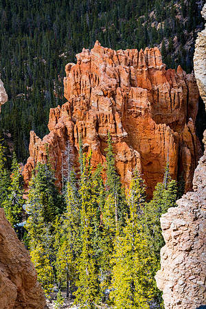 Bryce CYN Land of the Hoodoos