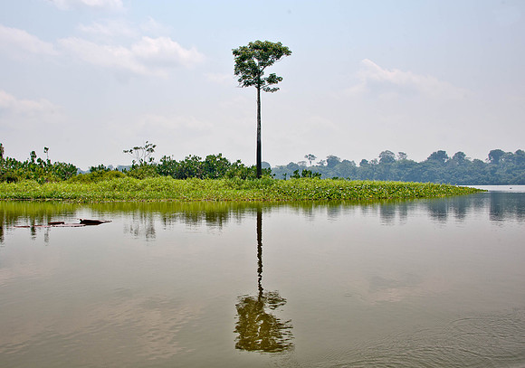 Amazon Headwaters