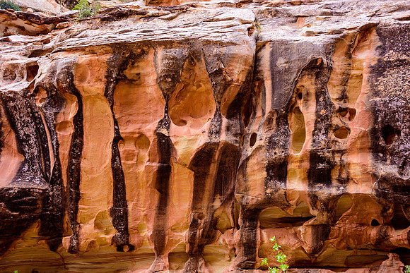 Capital Reef National Park
