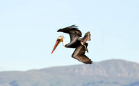 Baylands
