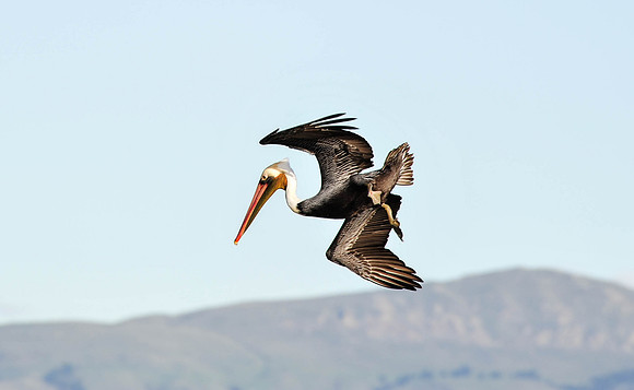 Baylands