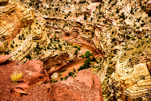 Capital Reef National Park