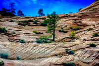 Zion National Park