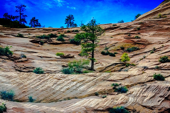 Zion National Park