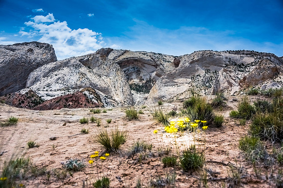Grand Staircase Escalante