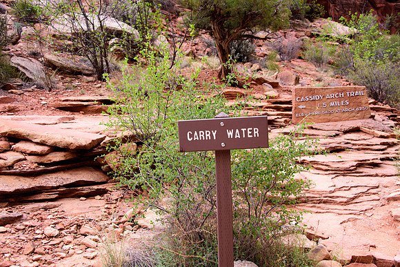 Cassidy Arch Trail