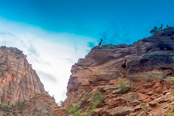 Zion National Park
