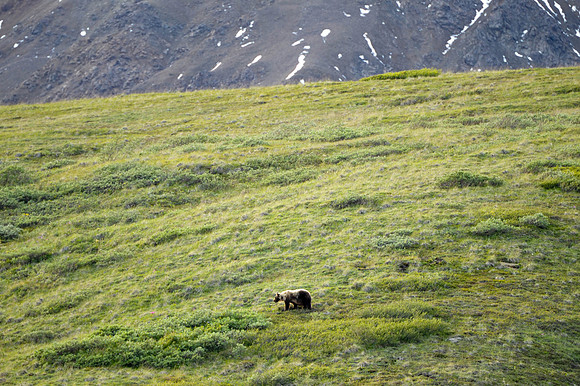 _DSC4283