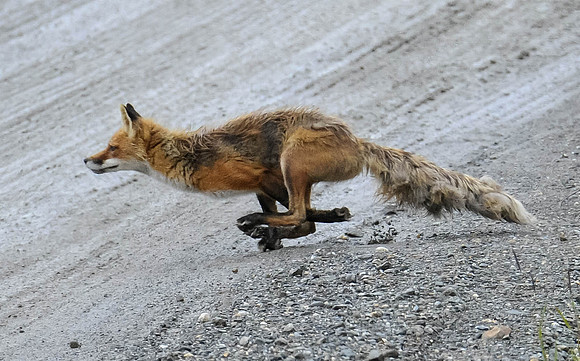 Hot Pursuit