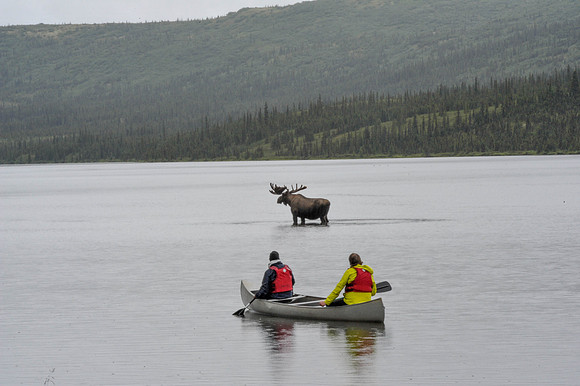 Stranded