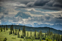 Denali National Park