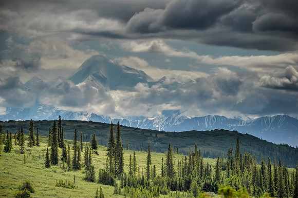 Denali National Park