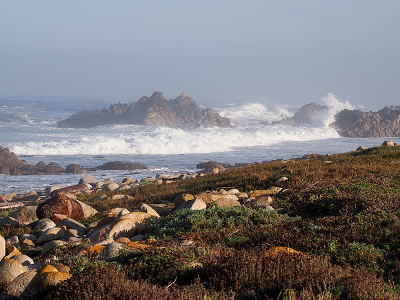 Pebble Beach