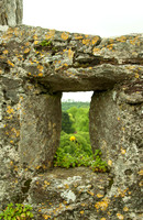 Blarney Castle