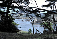 Pt LObos CA