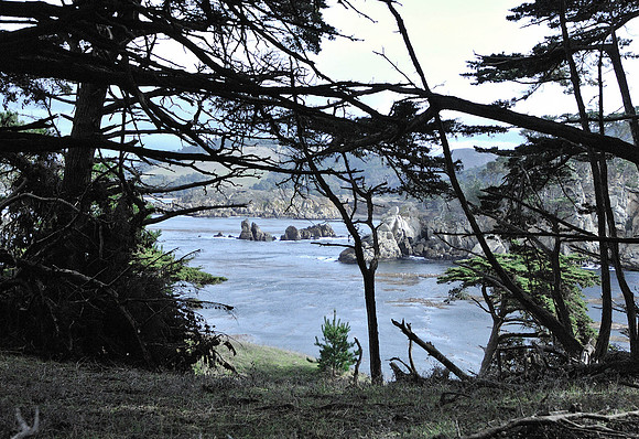Pt LObos CA