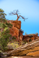 Zion National Park
