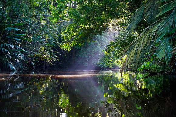 Tortuguero National Park.