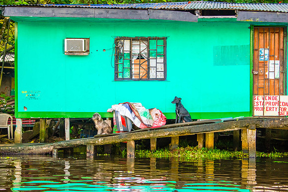 Tortuguero