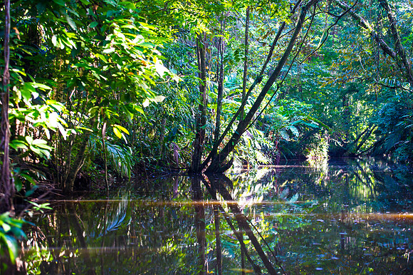 Tortuguero National Park.