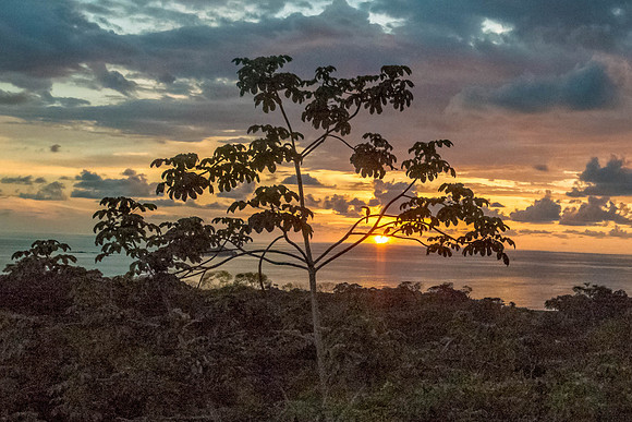 Costa Rica Sun  Set
