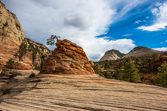 Zion National Park