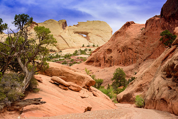 Grand Staircase Escalante