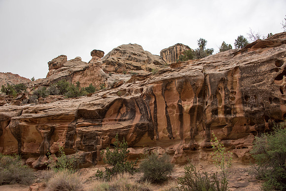 Capital Reef National Park
