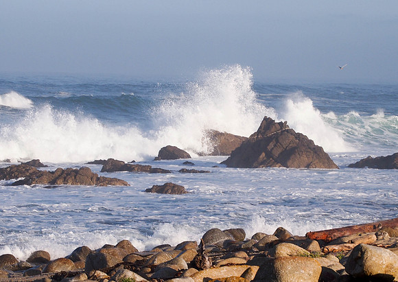 Pebble Beach