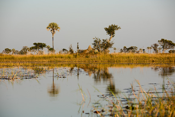 Okavango Delta