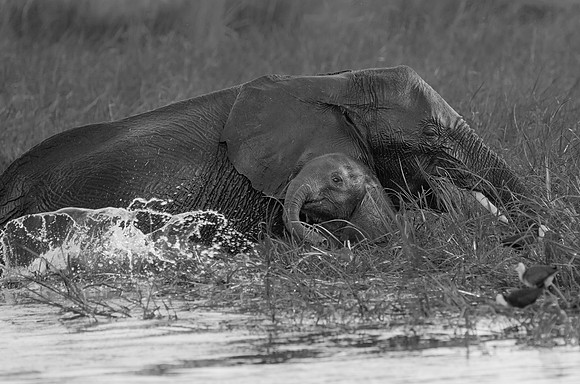 Baby & Mom play in Delta