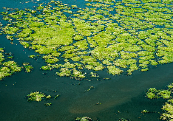 Flying into Okavango Delta