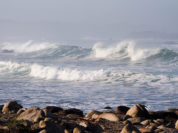 Pebble Beach