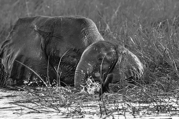 Baby & Mom play in Delta