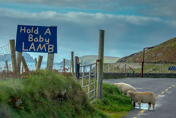 Dingle Peninsula Ireland
